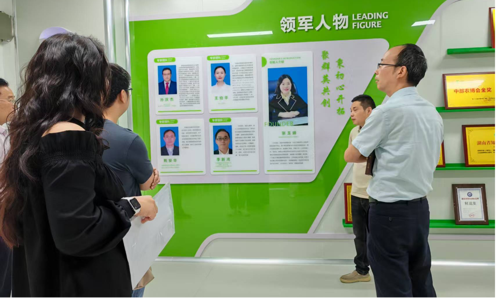 图片7