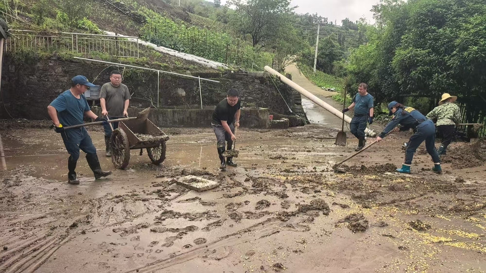 1ff47dce73f4ed4416d04bcc4ad2528c